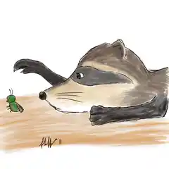 raccoon-yummy-bug.jpg