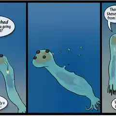 Jealousy, turning saints into the sea invasion-11.jpg